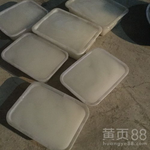 【電氣兩用米涼粉機(jī)品質(zhì)白玉涼粉機(jī)土豆涼粉機(jī)型號全】- 